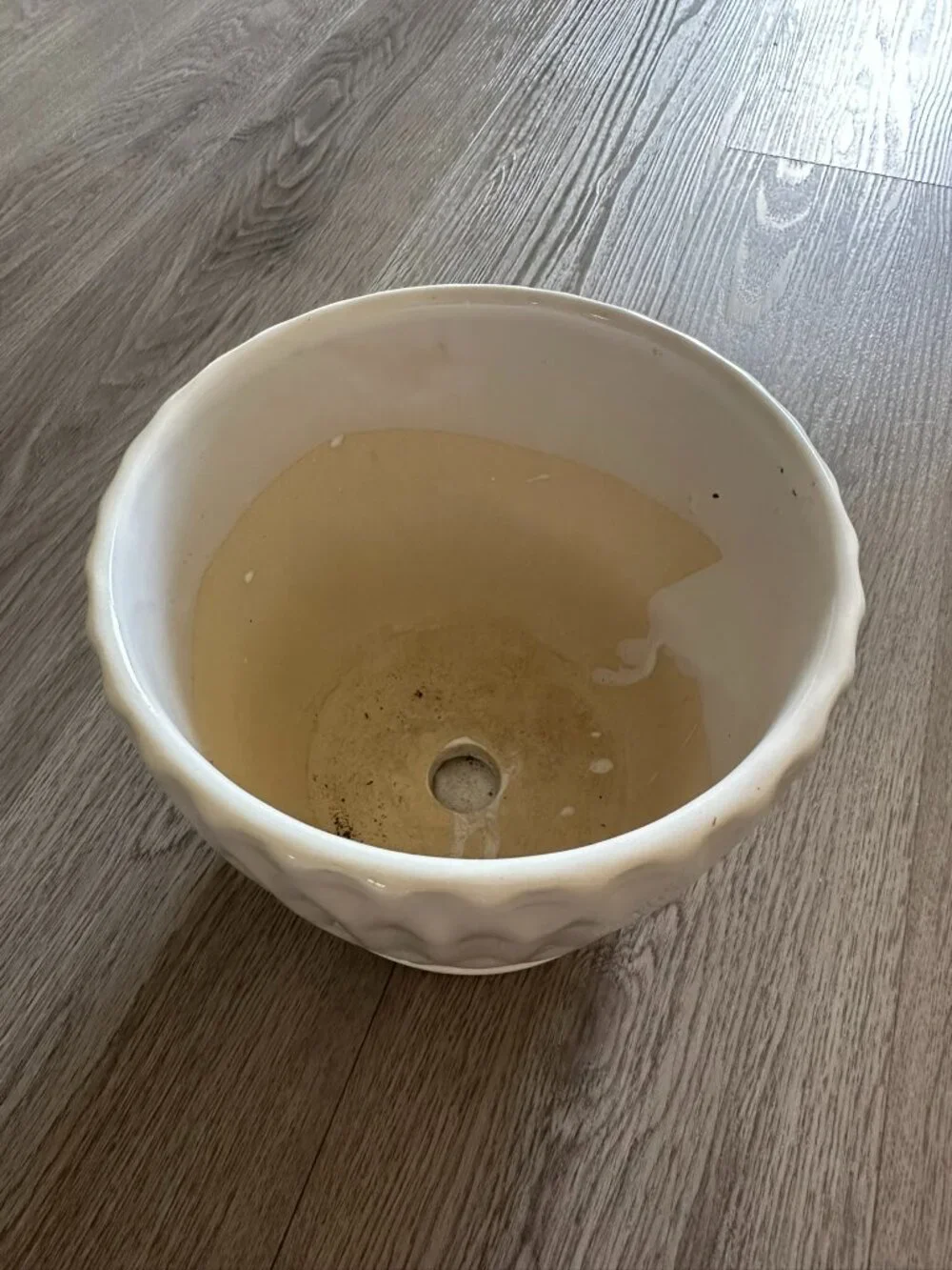 White Round Glass Ceramic Planter with Drainage 6.5